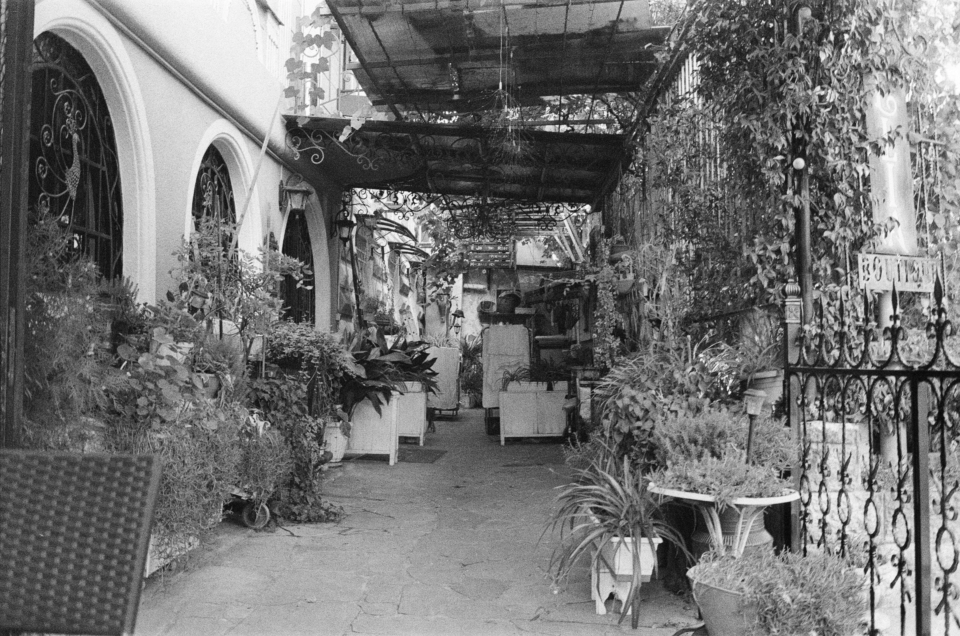 Film photograph from Georgia, titled "georgia hostel".