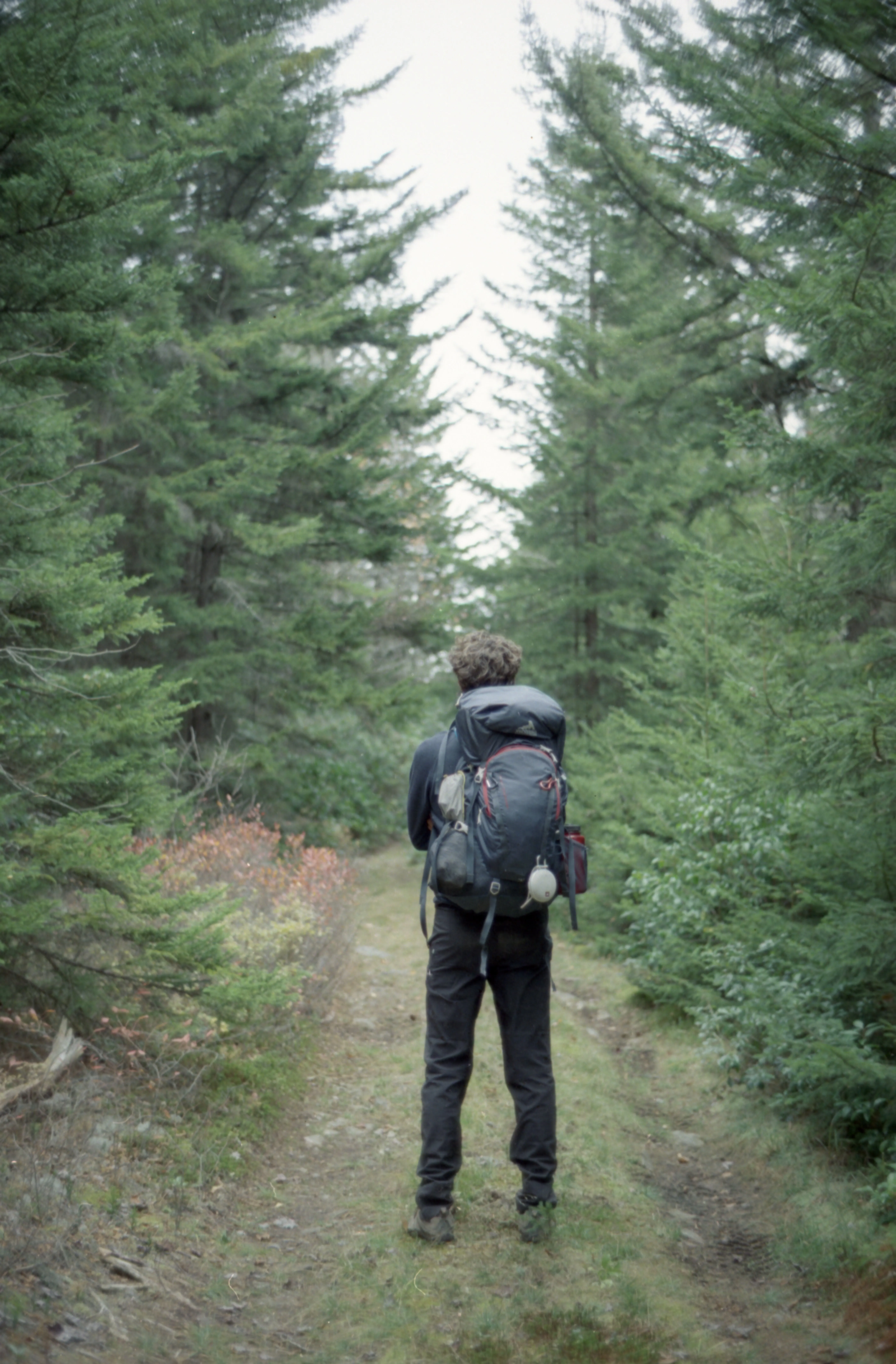 Film photograph from DMV, titled "dolly sods camping".