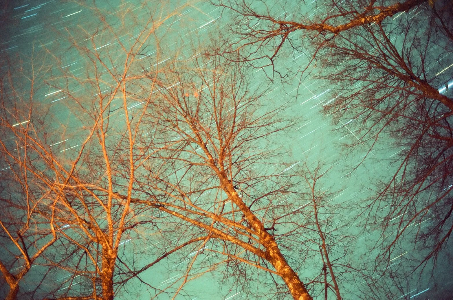 Film photograph from DMV, titled "dolly sods stars".