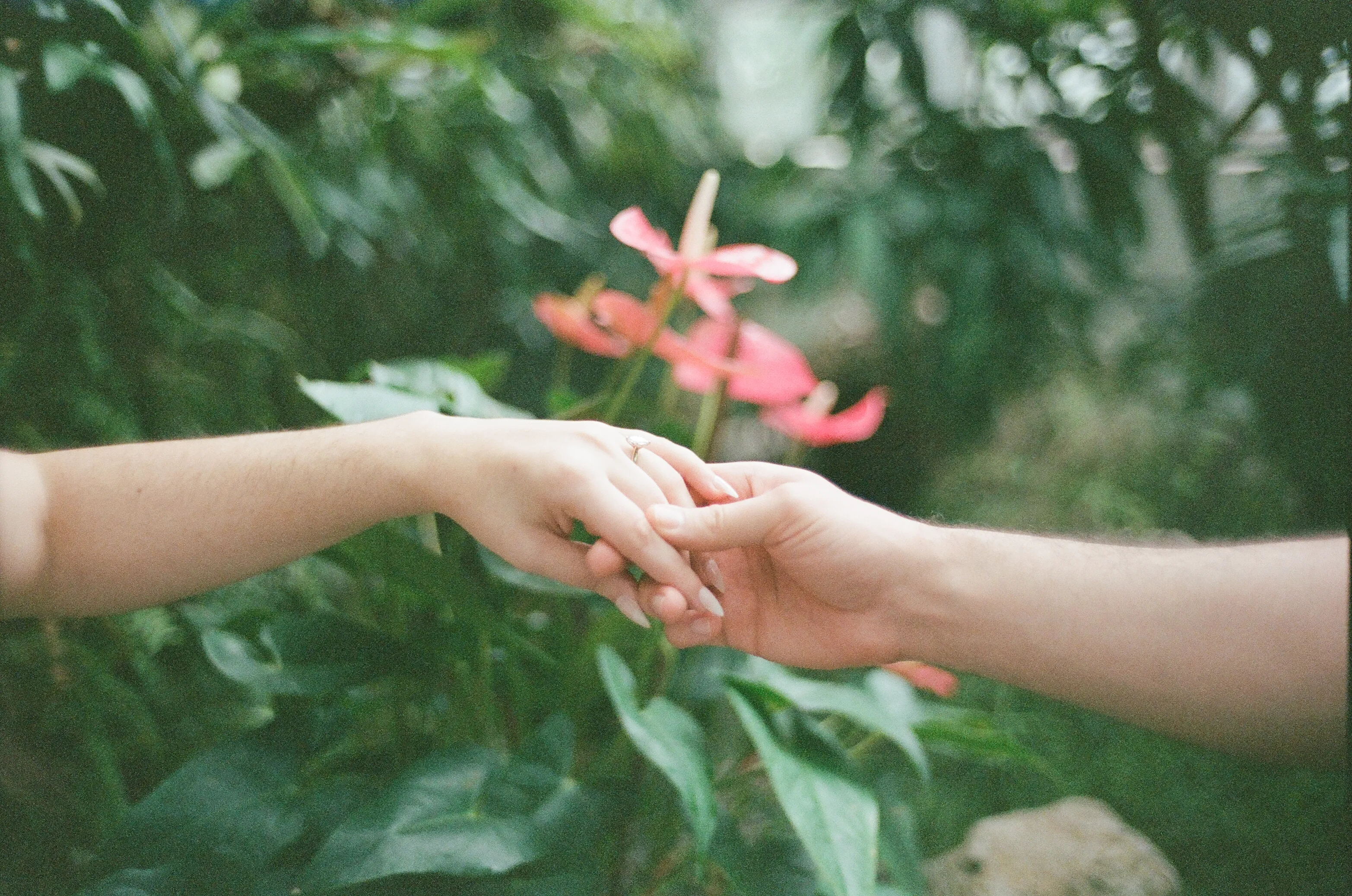 Film photograph from DMV, titled "engagement 1".