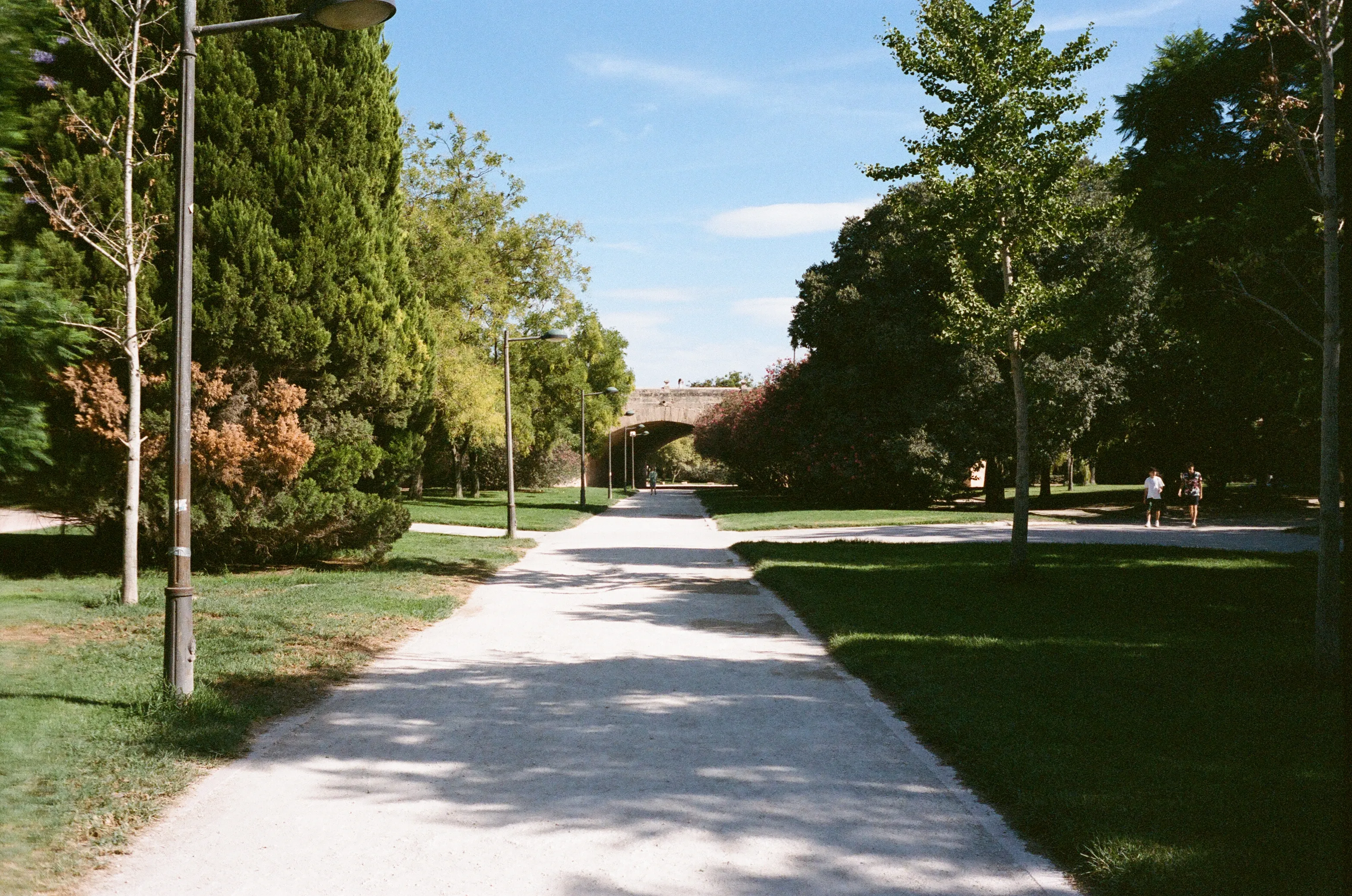 Film photograph from Spain, titled "valencia park".
