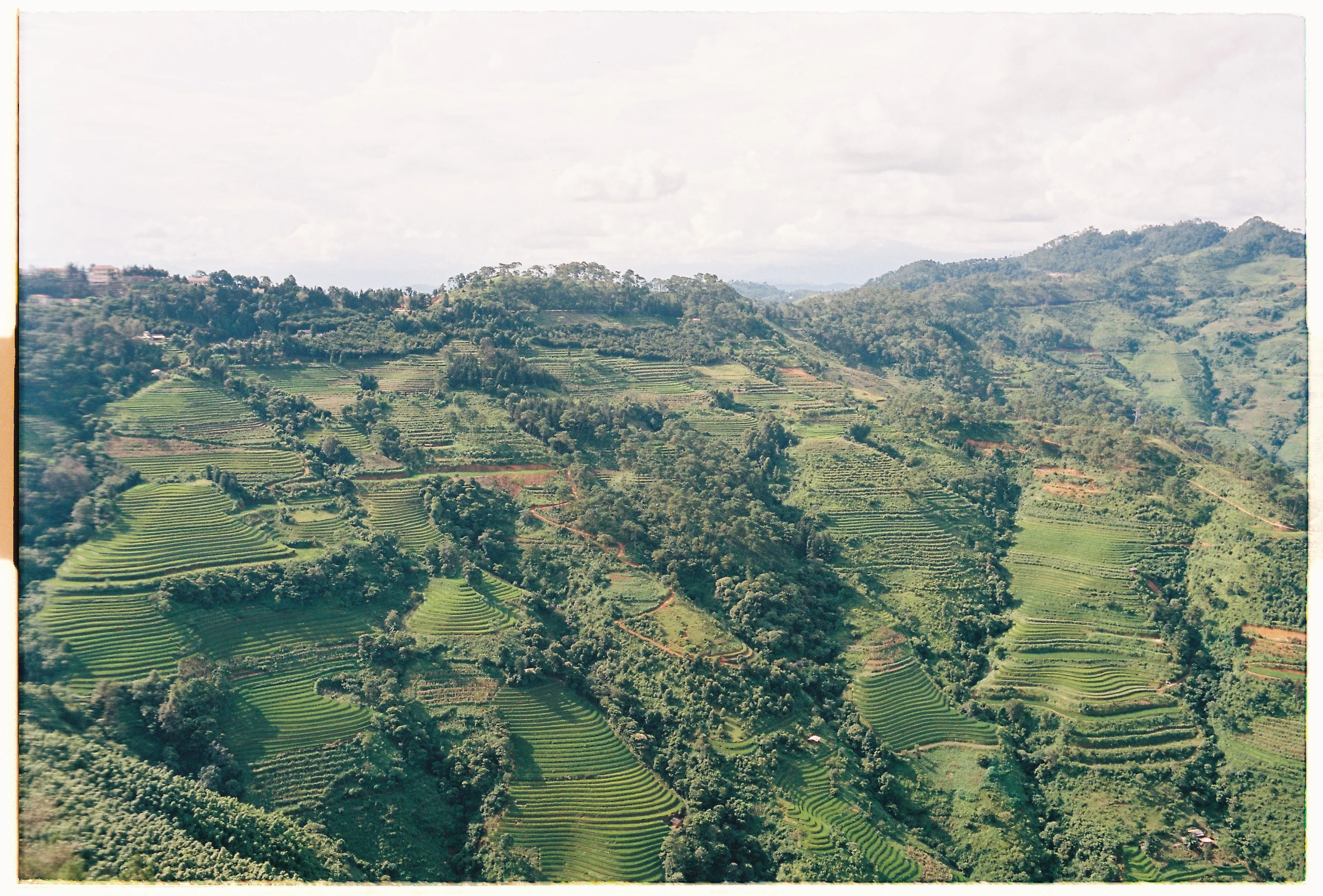 Film photograph from Vietnam, titled "ha giang rice field".